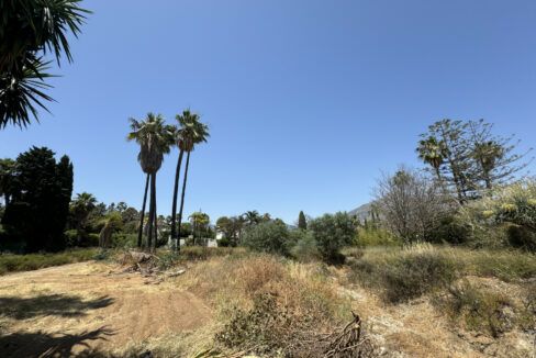 Terreno Nueva Andalucia Ayre (2)