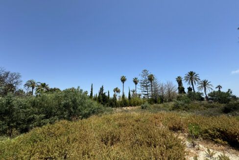 Terreno Nueva Andalucia Ayre (3)