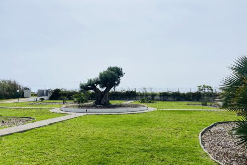IMG_4981