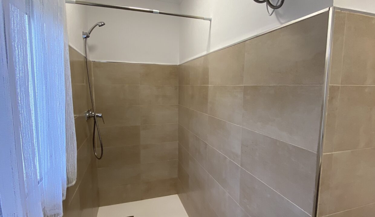 salle de bain du rez-de-chaussée (2)