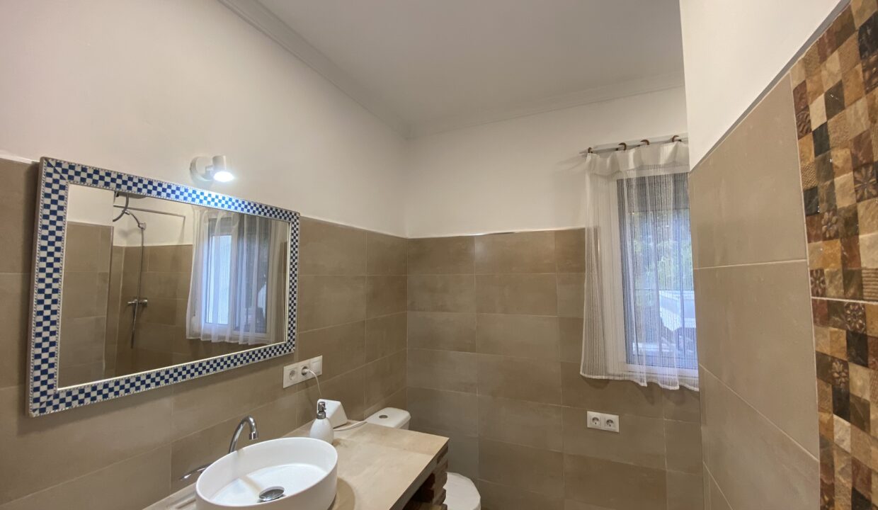 salle de bains du rez-de-chaussée (3)