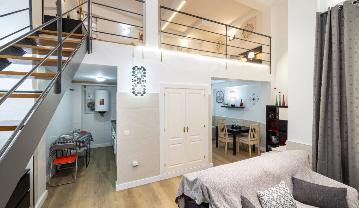 OVERVIEW OF THE DUPLEX