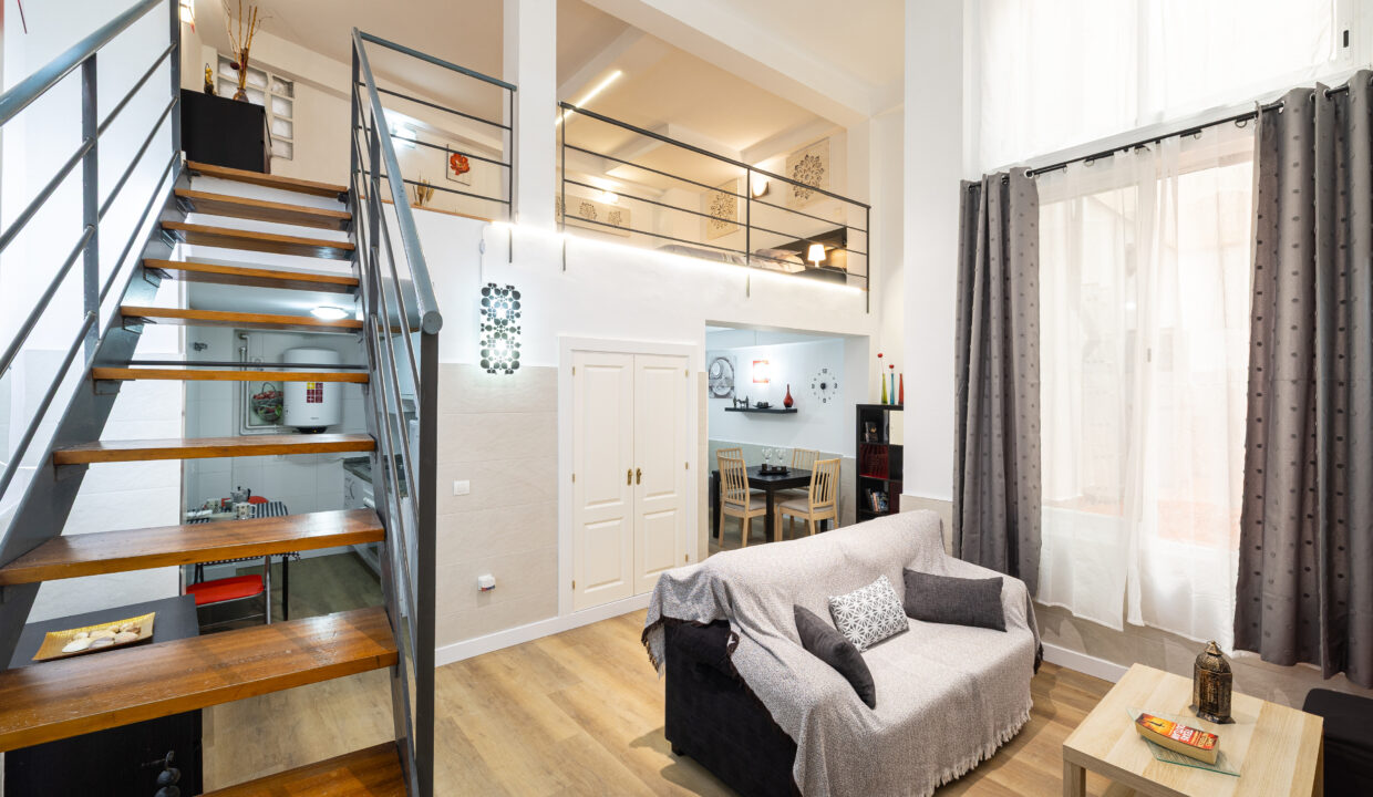 OVERVIEW OF THE DUPLEX 2