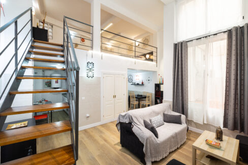 OVERVIEW OF THE DUPLEX 2