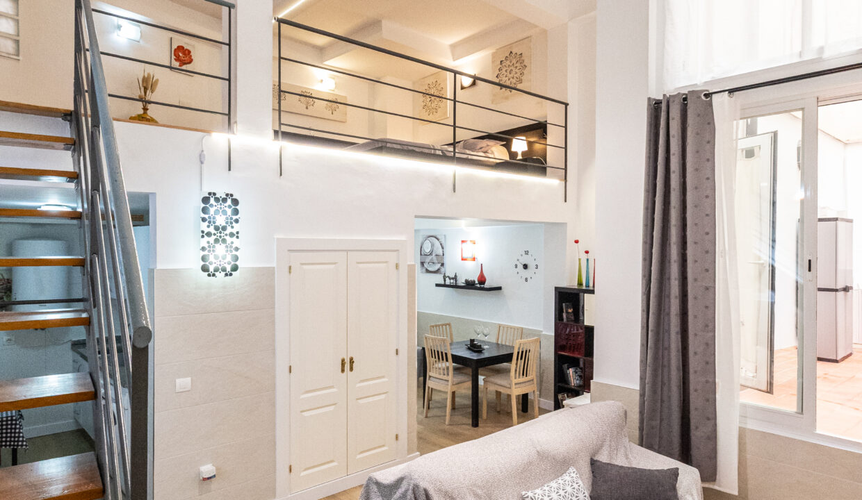 OVERVIEW OF THE DUPLEX 3