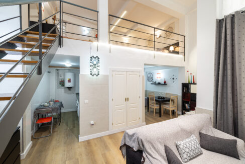 OVERVIEW OF THE DUPLEX