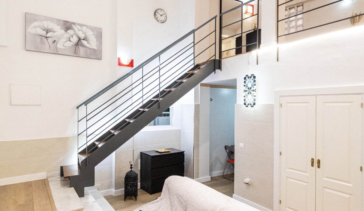 SALITA Y ESCALERA